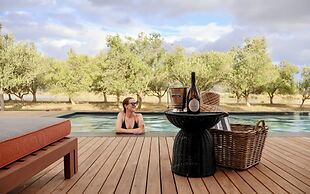 Olijvenkraal Winelands Lodge