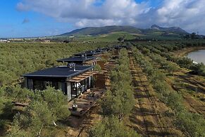 Olijvenkraal Winelands Lodge