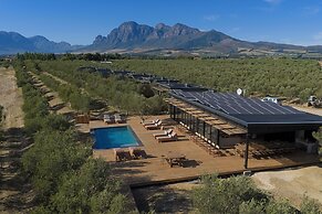Olijvenkraal Winelands Lodge