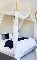 Olijvenkraal Winelands Lodge