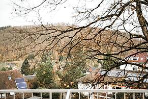 Villa Hedwig - Schwarzwald