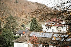 Villa Hedwig - Schwarzwald