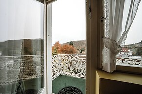 Villa Hedwig - Schwarzwald