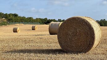 Orford Holiday Cottage