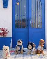 Spain Village Poolamping