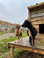 Eco-domaine La Fontaine