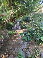Junegiri Farms & Homestay