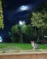 Hotel Vila As Pedras