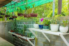 Bungalow Tài Phát