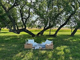 Shortgrass Resort