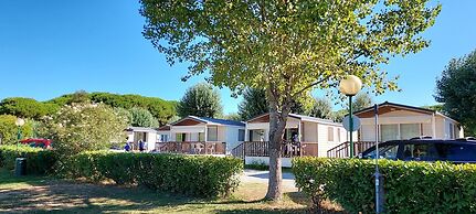 Mobile Home in Sarazena in Einem Ferienpark
