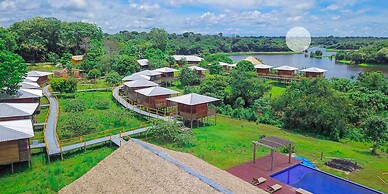 Amazon tucuna ecologico