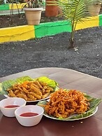 Green Paradise Trimbak