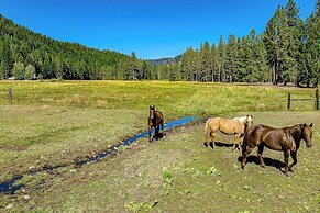 Dog-friendly 3BR on 200 Acres w/ River Access