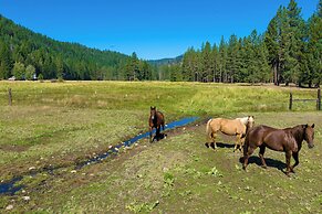 2 Riverfront, Dog-friendly Cabins on 200 Acres