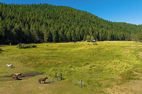 2 Riverfront, Dog-friendly Cabins on 200 Acres