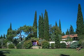 Vintage Provence