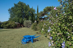 Vintage Provence
