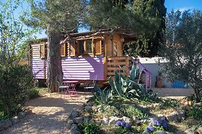 Vintage Provence