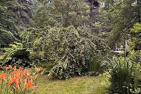 Spacious & Historic Plainfield Home w/ Yard!