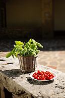Fattoria La Striscia