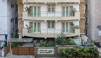 Apollo Greens