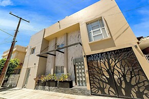 Arbol suite