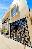 Arbol suite
