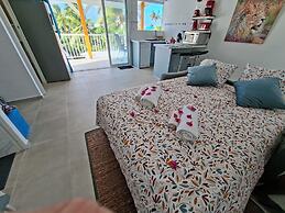 Les cocotiers Anse Montal