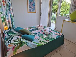 Les cocotiers Anse Montal