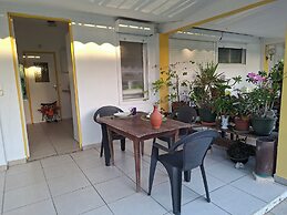 Les cocotiers Anse Montal
