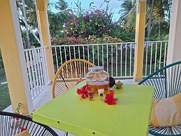 Les cocotiers Anse Montal