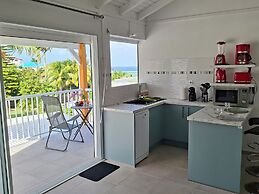 Les cocotiers Anse Montal