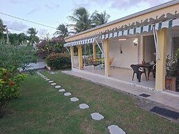 Les cocotiers Anse Montal