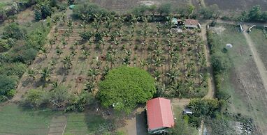 Green Living Farm House