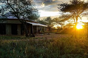 Maisha Serengeti Camps