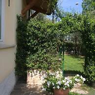 B&B Topaze