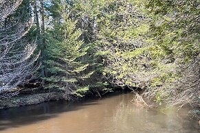 Dog-friendly 2BR Cabin w/ Pellet Stove, W & D