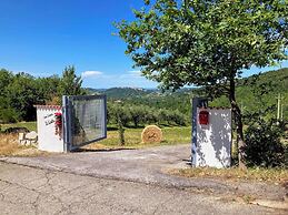 Casa Vacanze Il Vallo