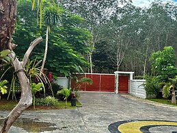 Beautiful Villa Between Jungle