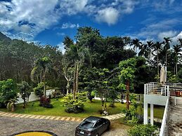 Beautiful Villa Between Jungle
