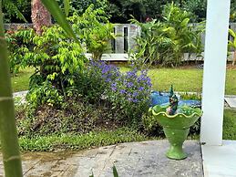 Beautiful Villa Between Jungle
