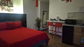 Estudios 303