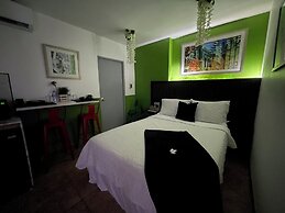 Estudios 303