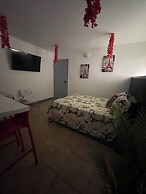 Estudios 303