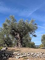 Casale Vecchio Abruzzo Countryside Spacious and Authentic Private Vill