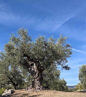 Casale Vecchio Abruzzo Countryside Spacious and Authentic Private Vill