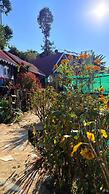 D's Mayaavea Homestay