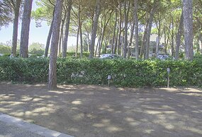 Apartment in Pine Forest Near the Beach