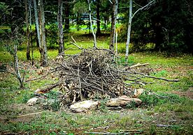 The Glan Devon Tiny Retreat